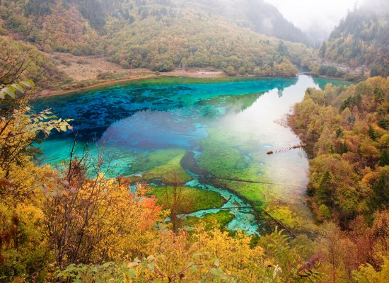 بحيرة الزهور الخمسة ، الصين